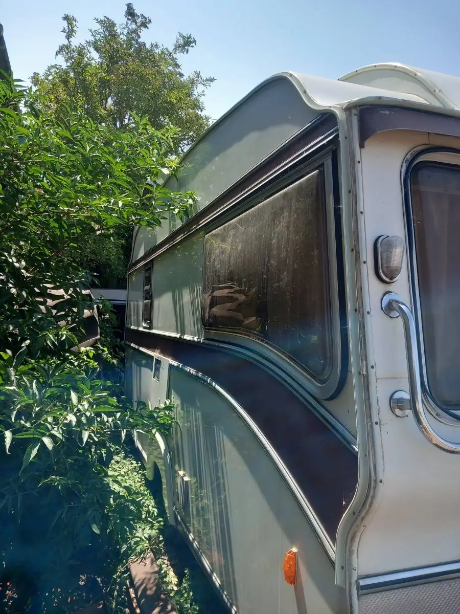 Long-standing tourer with hedge growth pressed against its flank and condensation misting the windows, the point at which damp has usually done its work